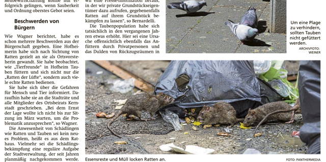 20220211 Ratten im Kreisblatt